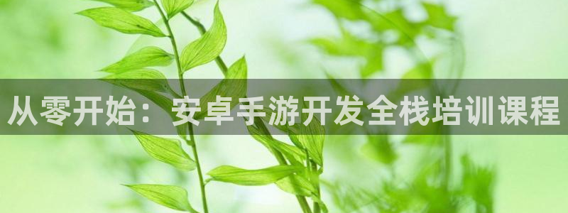 三牛娱乐测速系统：从零开始：安卓手游开发全栈培训课程