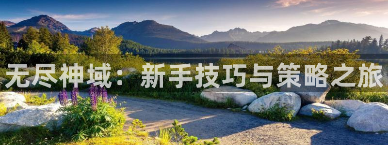 三牛娱乐是网络诈骗平台吗知乎：无尽神域：新手技巧与策略之旅