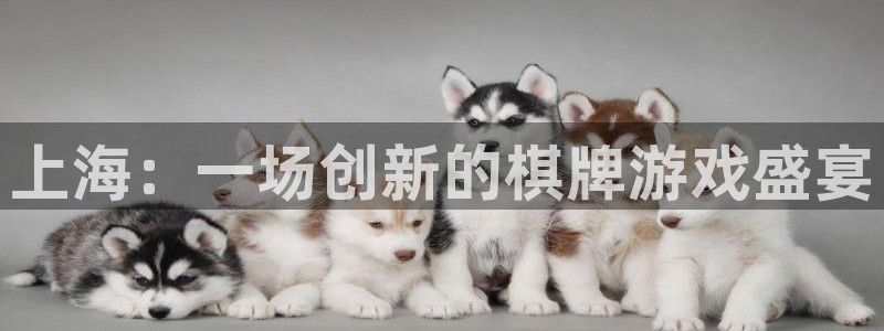 三牛娱乐哪里去了：上海：一场创新的棋牌游戏盛宴