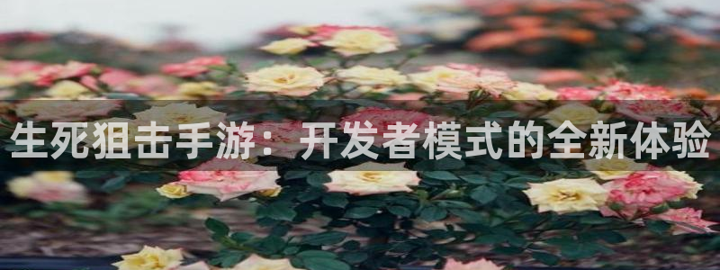 三牛娱乐如何注册：生死狙击手游：开发者模式的全新体验