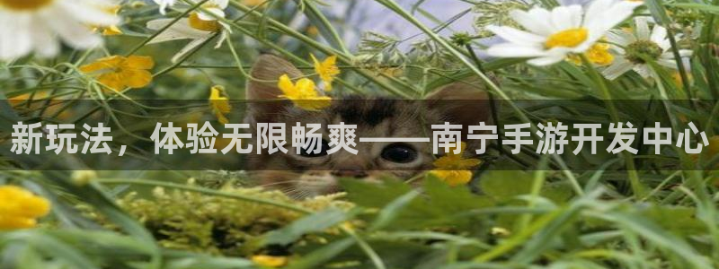 三牛娱乐挂机：新玩法，体验无限畅爽——南宁手游开发中心