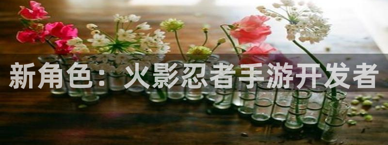 三牛娱乐测速系统官网：新角色：火影忍者手游开发者