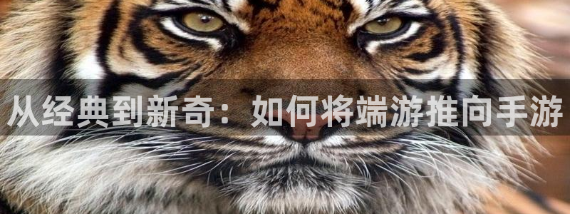 三牛娱乐网站：从经典到新奇：如何将端游推向手游