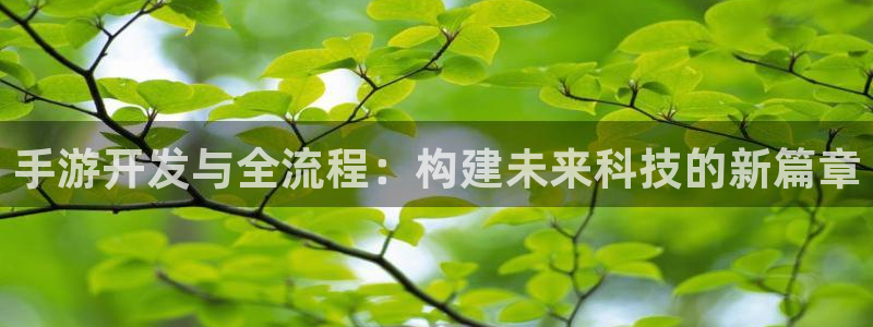 三牛娱乐管网客服电话：手游开发与全流程：构建未来科技的新篇章