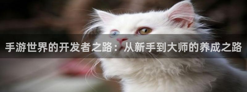 三牛娱乐负责人：手游世界的开发者之路：从新手到大师的养成之路