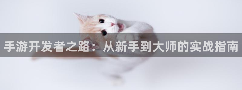 三牛娱乐负责人是谁：手游开发者之路：从新手到大师的实战指南