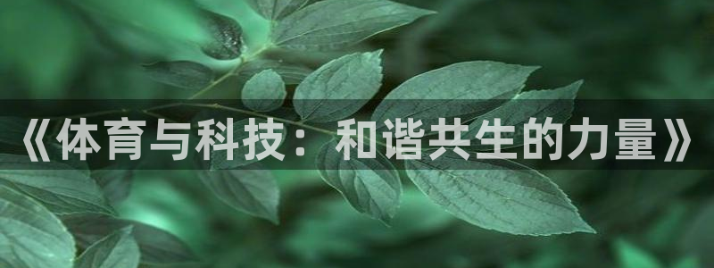 ug环球官网注册