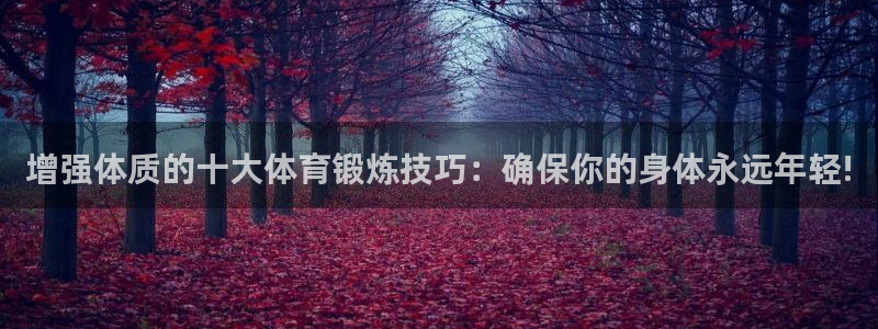 ug环球官网