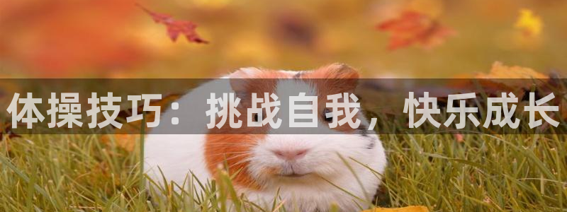 菲律宾ug环球官网