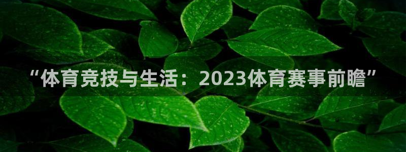 ug环球官网注册