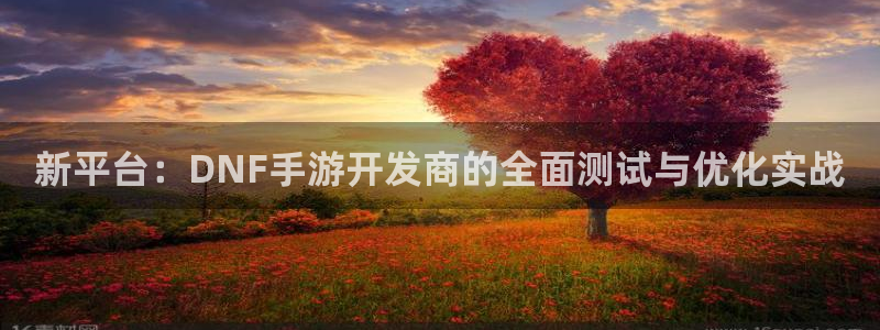 三牛娱乐负责人：新平台：DNF手游开发商的全面测试与优化实战